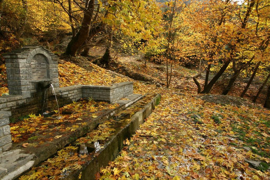 Artsistas Houses Aristi Dış mekan fotoğraf