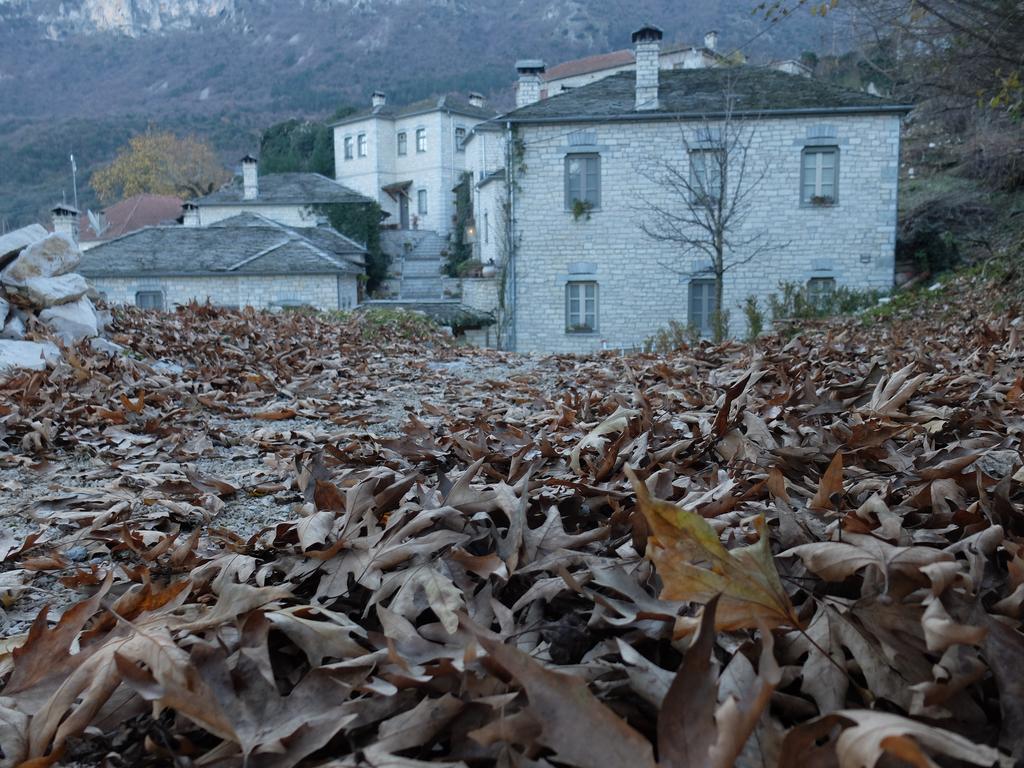 Artsistas Houses Aristi Dış mekan fotoğraf